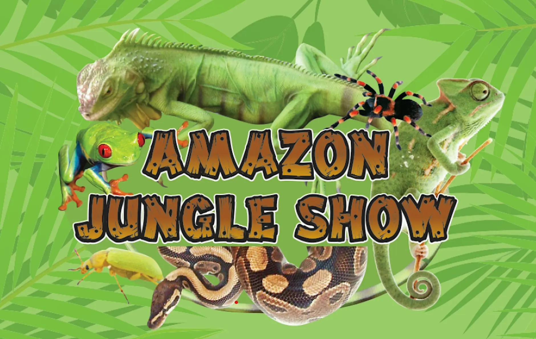Amazon Jungle Show poster from Libraries NI