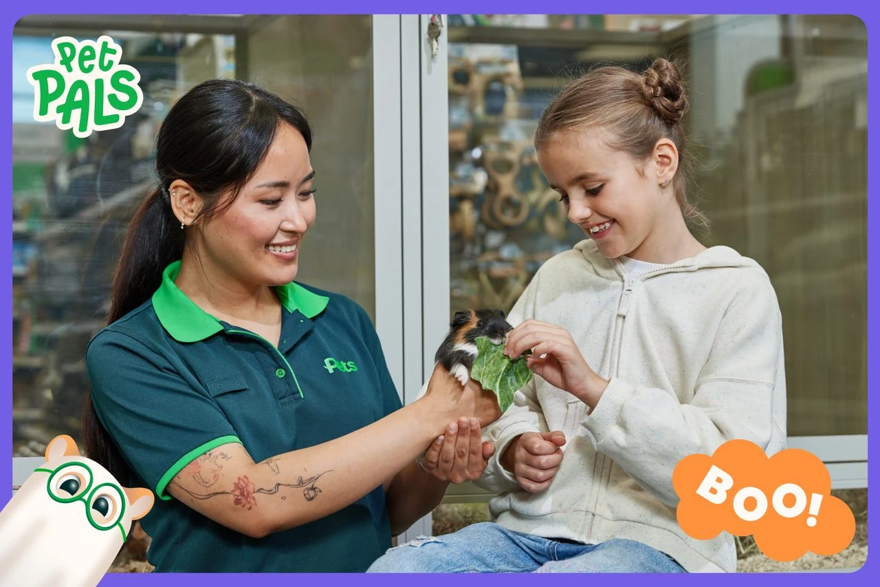 Child meeting a guinea pig with a Pets at Home team member